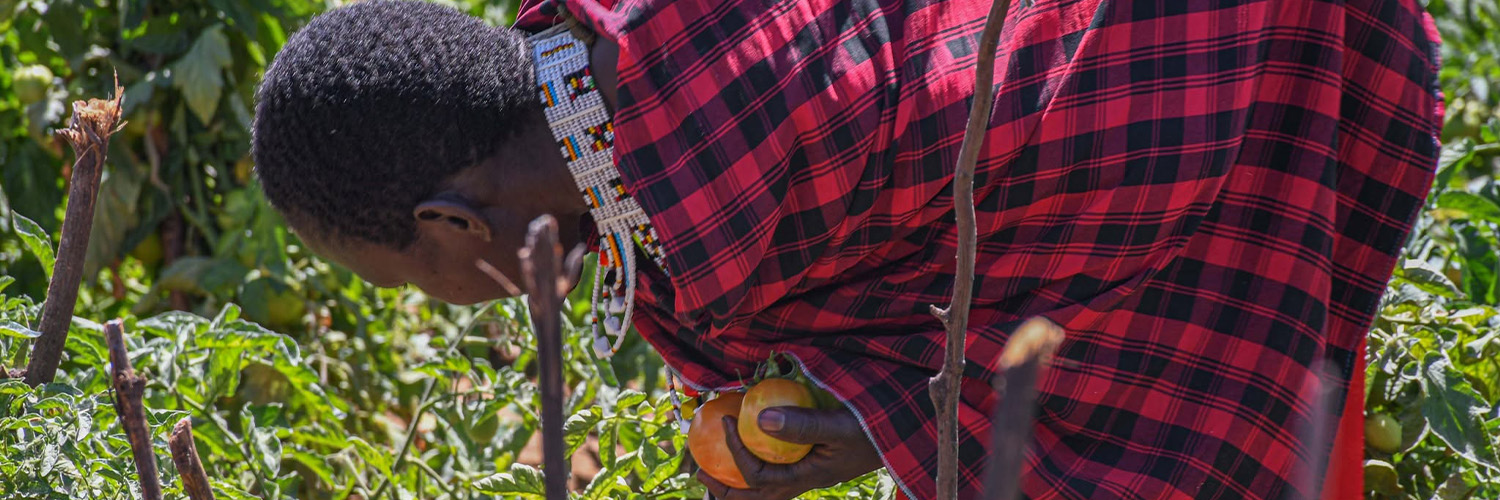 ActionAid_Kenya's profile banner image