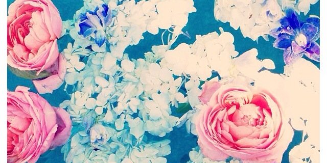 Ellie_Rose93's profile banner image