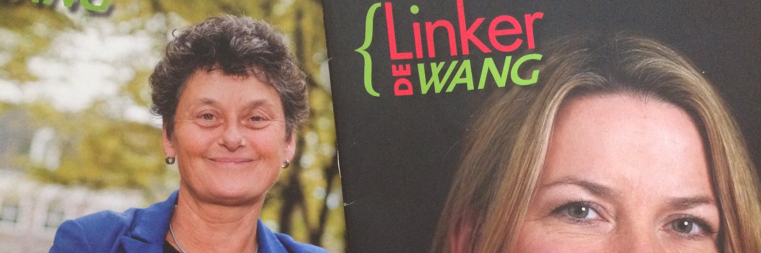 De Linker Wang banner