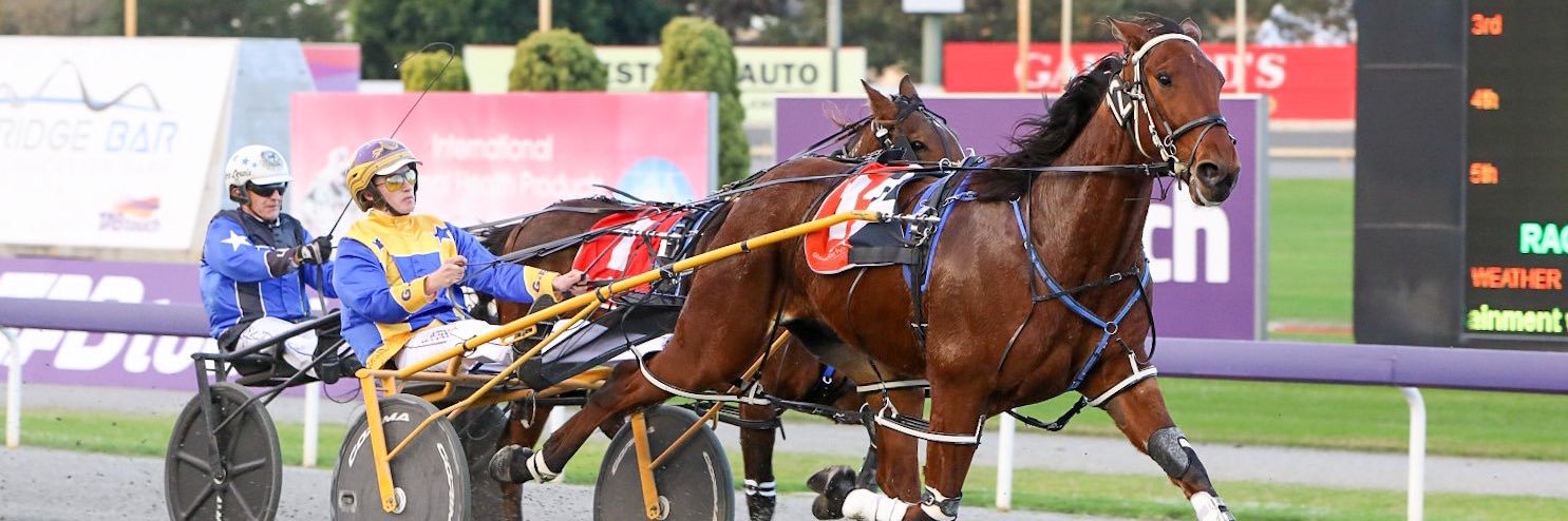 Corey Peterson banner