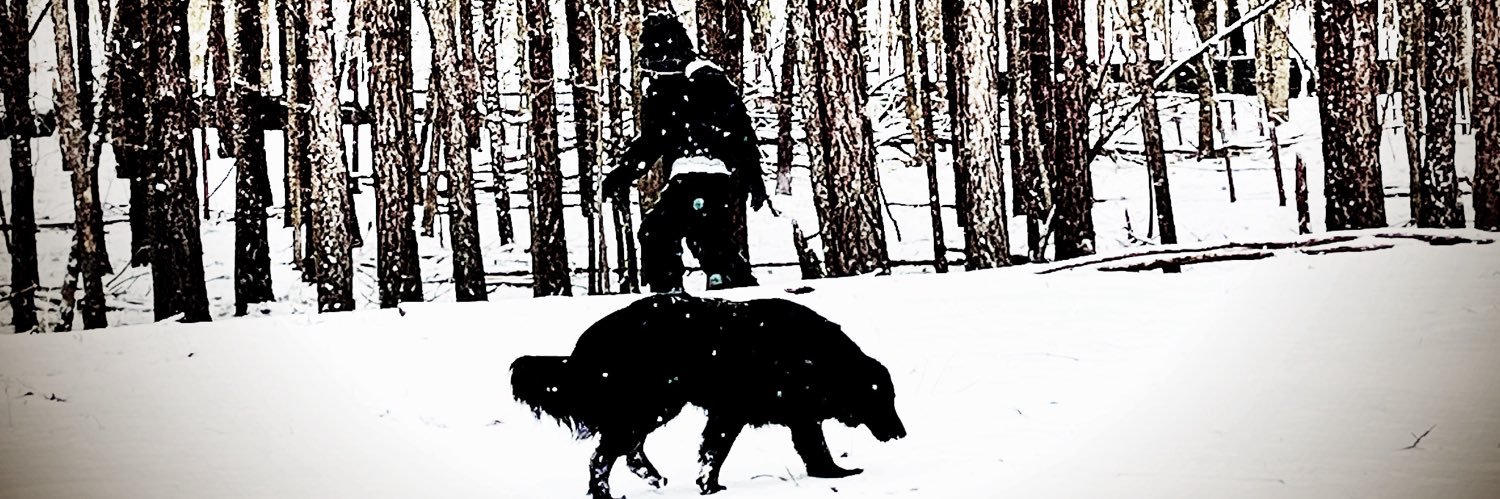 exblonde21's profile banner image