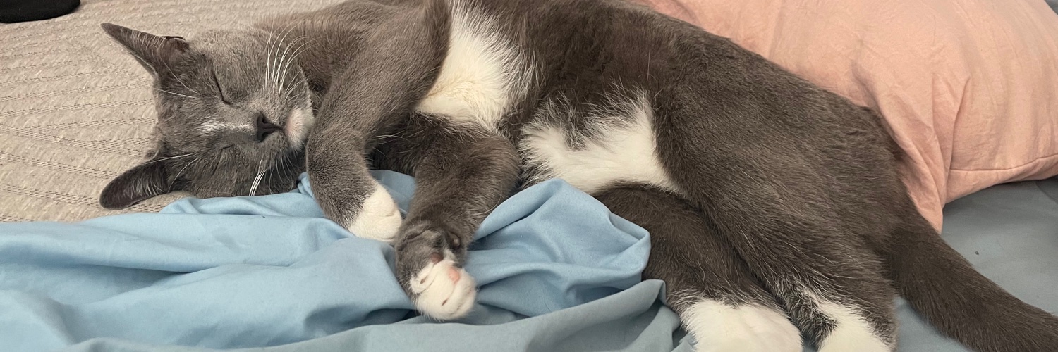 AgentRayRay's profile banner image