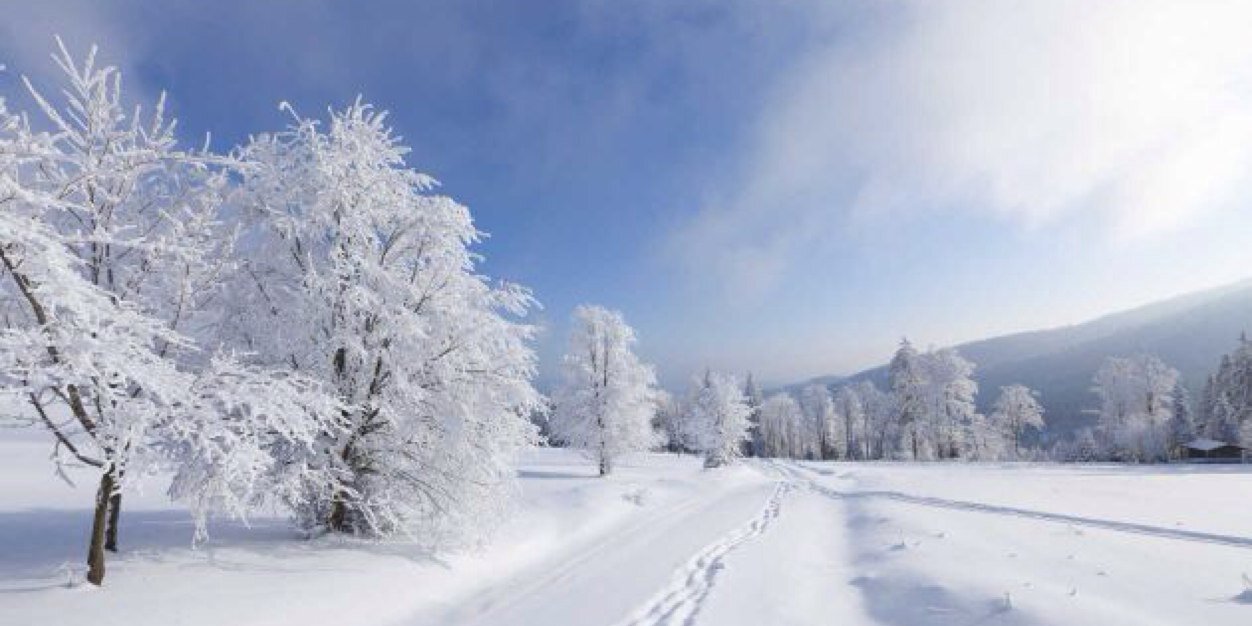 xebaxtopol's profile banner image
