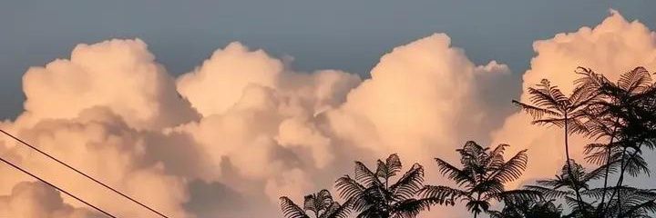 _anjnuggets's profile banner image