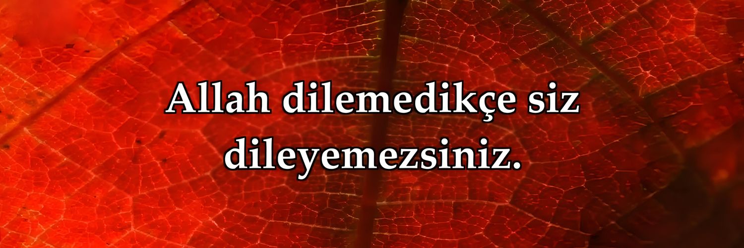 Bulanlar Arayanlardır.. banner