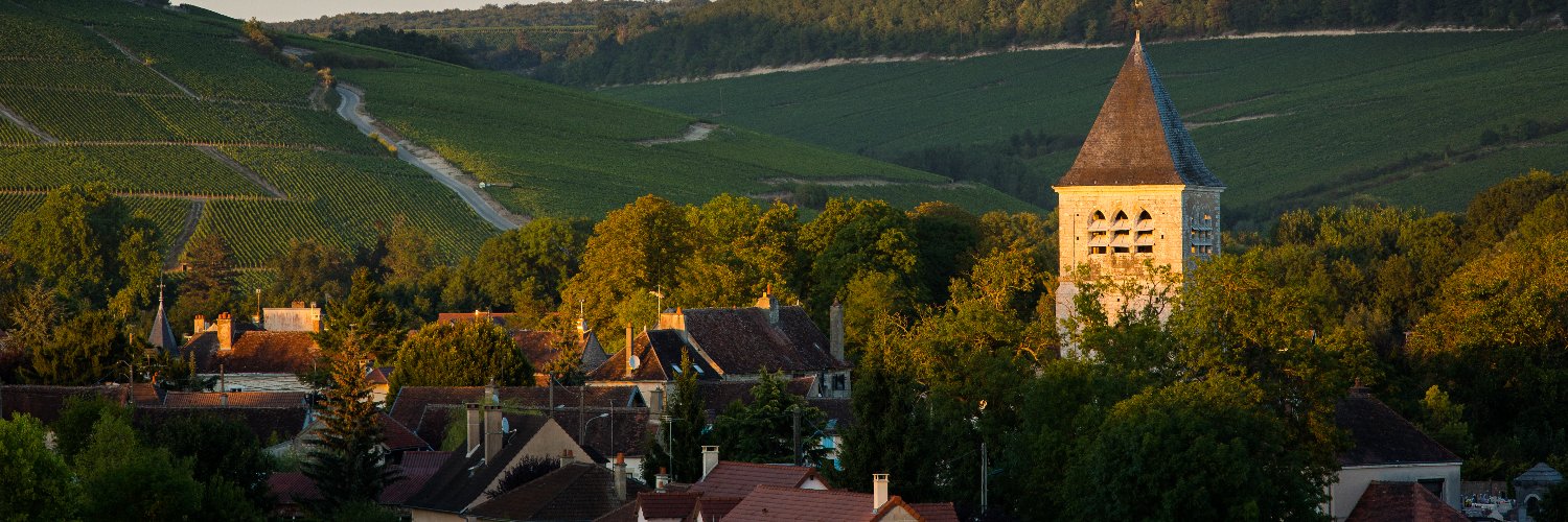 purechablis's profile banner image