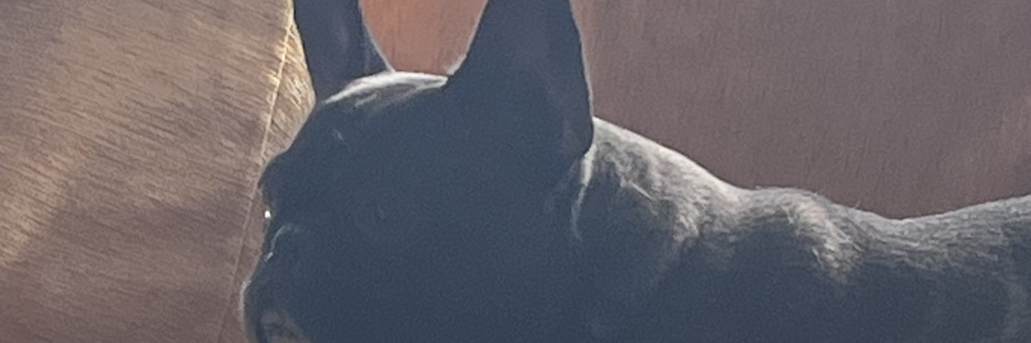 cchristopoulos's profile banner image