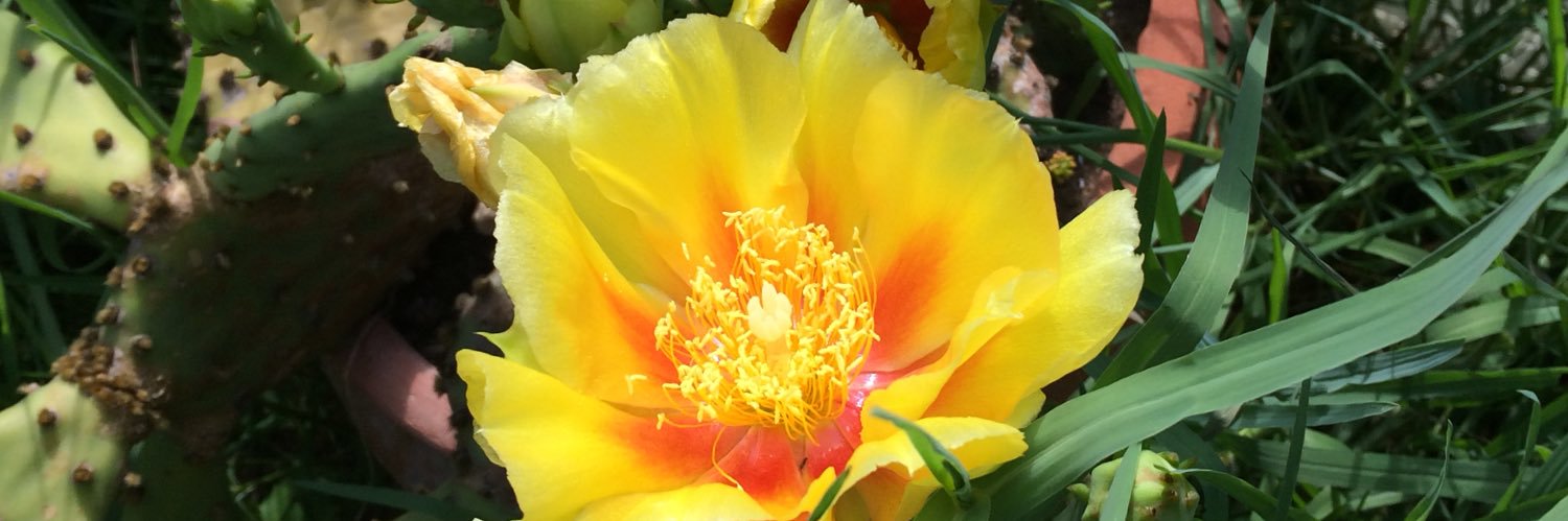 yardimci_selda's profile banner image