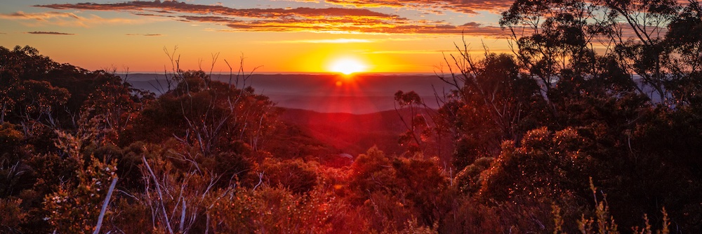 Sunburnt Country Music banner