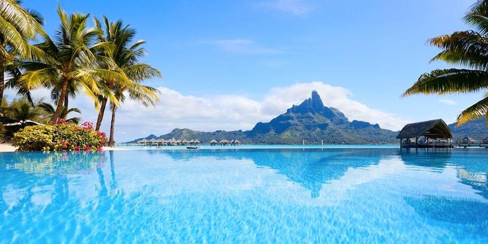 Tahitimoons's profile banner image