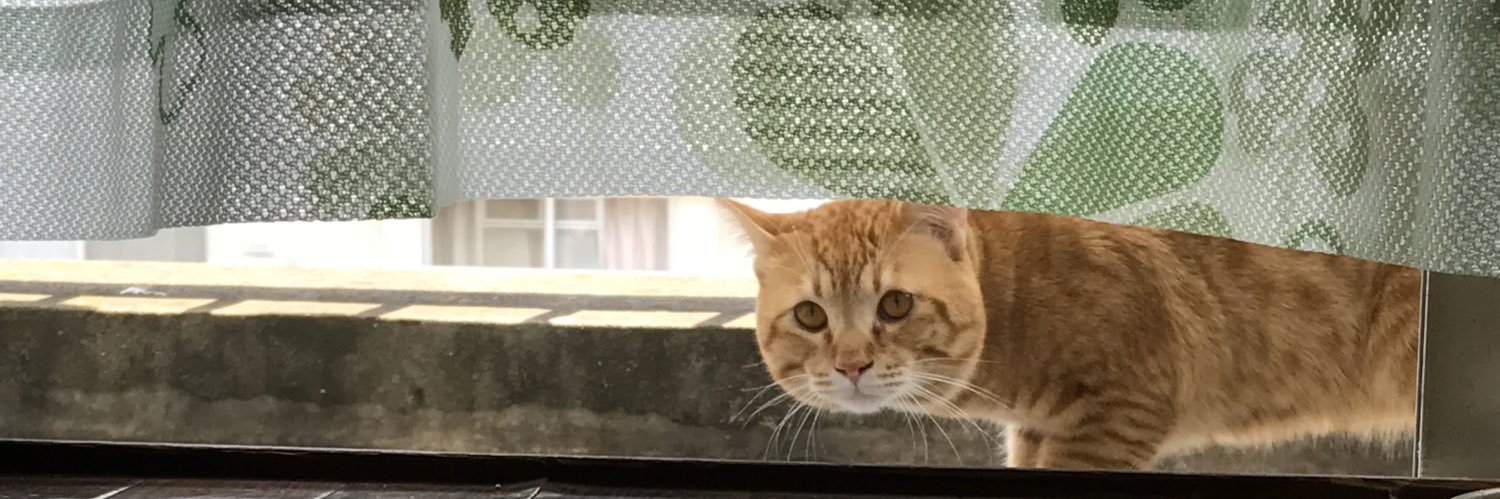 んんこ banner