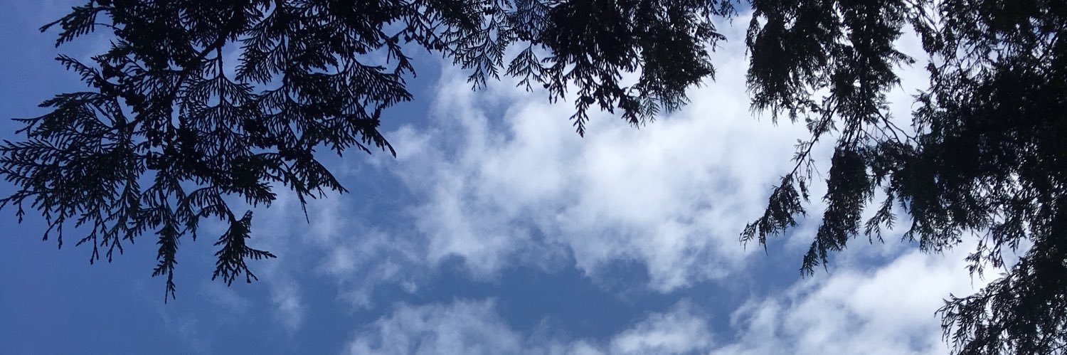 NaderSleiman's profile banner image