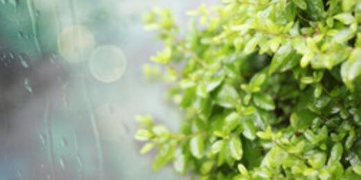 jully0609's profile banner image