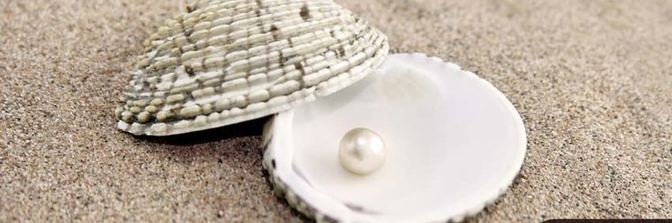 _PrettyinPearl_'s profile banner image