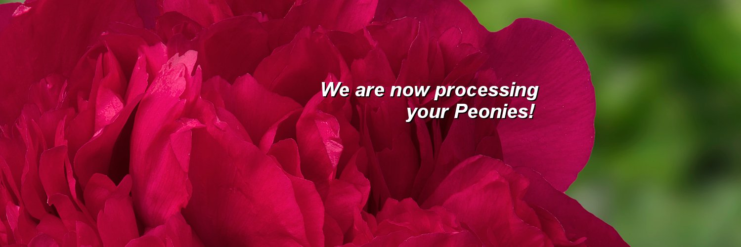 GreenWorksNL's profile banner image