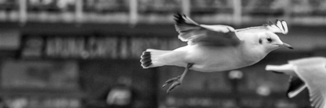 emreeaydinn1's profile banner image