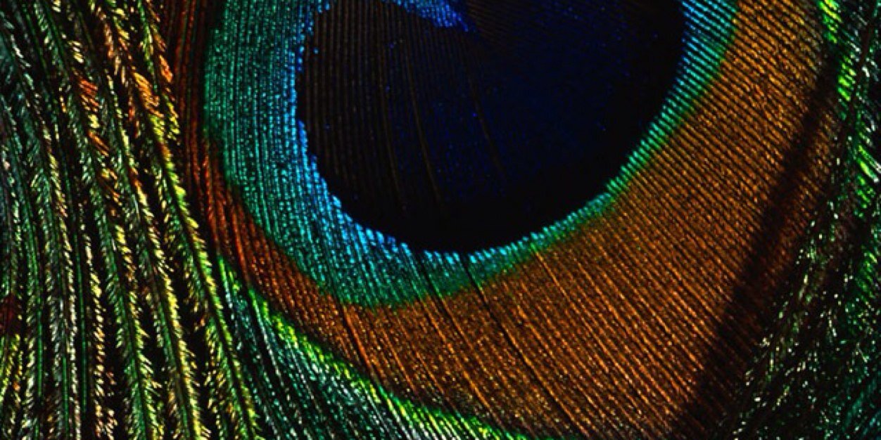 bfoley13's profile banner image