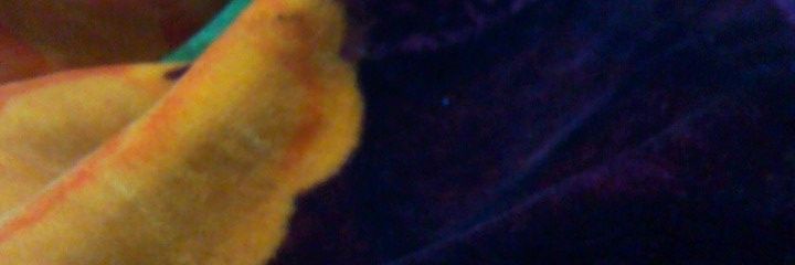 JAMES KUJUR banner