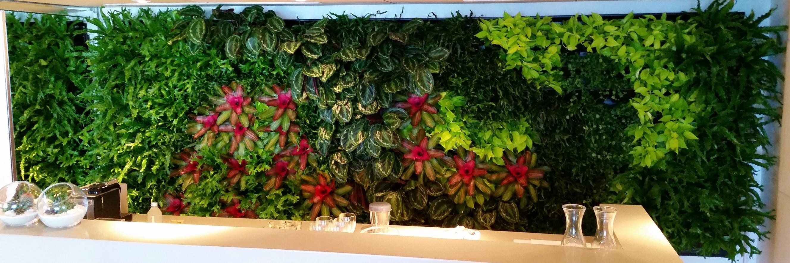 GetFosterPlants's profile banner image
