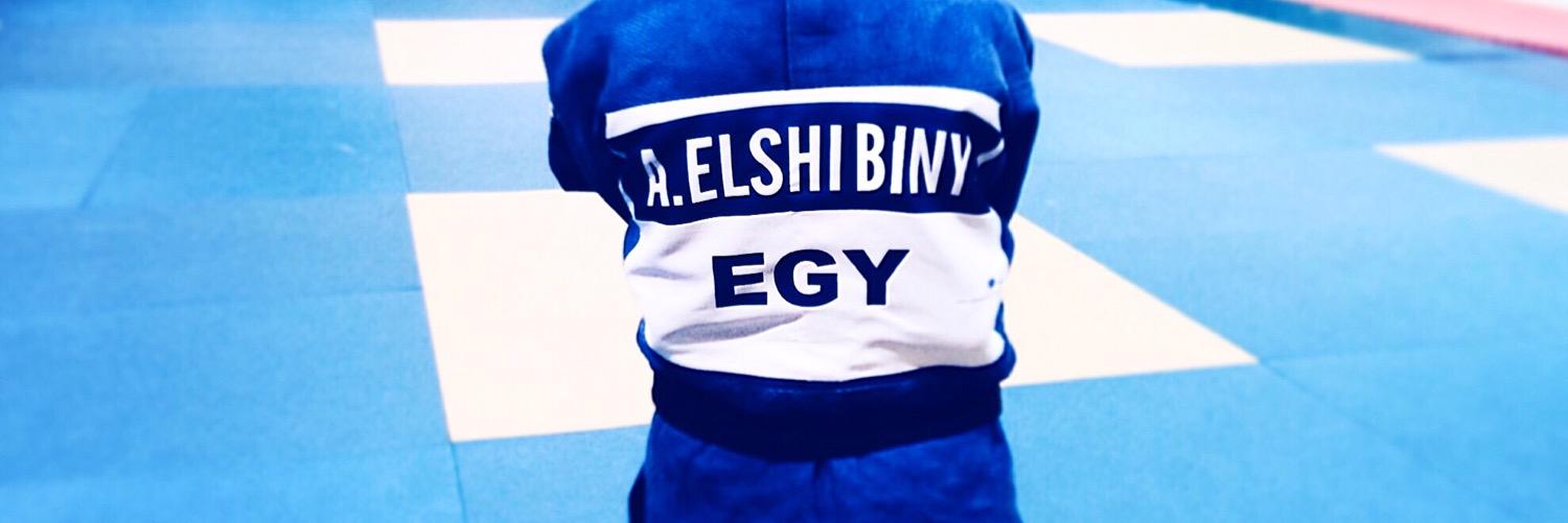 AyaElShibiny's profile banner image