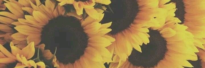 Lynette_7's profile banner image