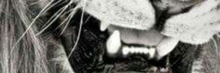 loganwolf4's profile banner image