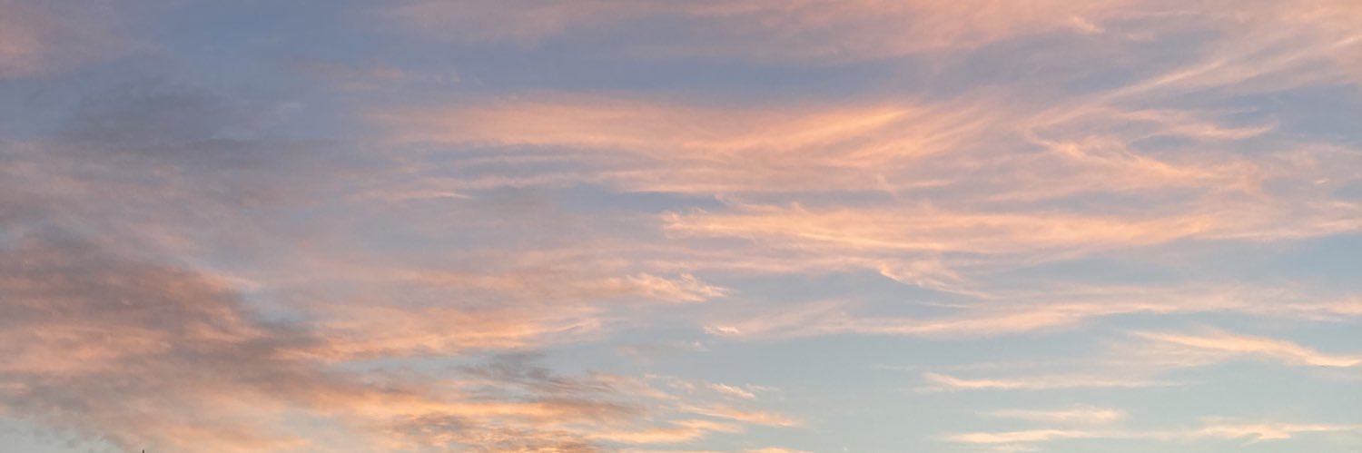 meltemayhan48's profile banner image