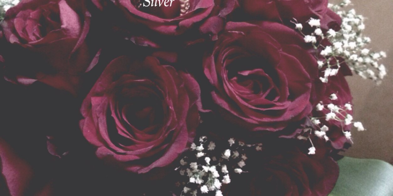 Alshr8's profile banner image