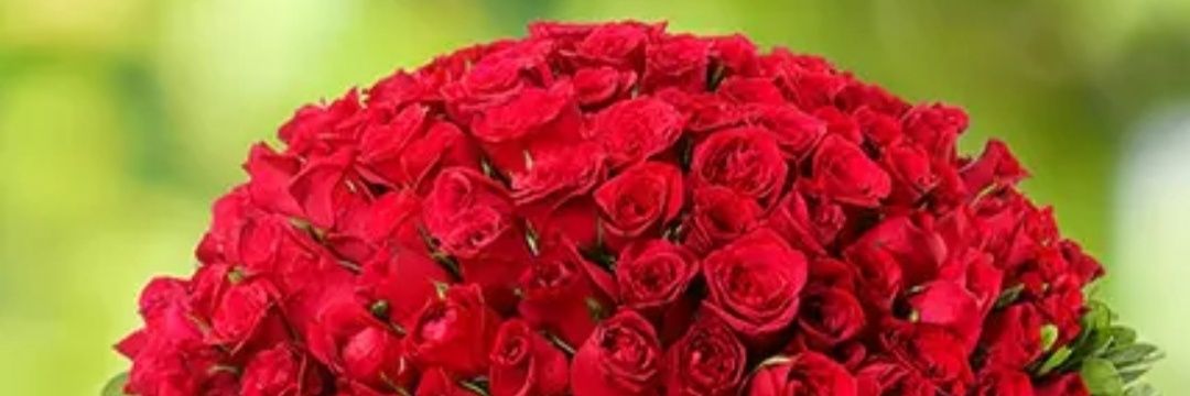 al_hadrame's profile banner image