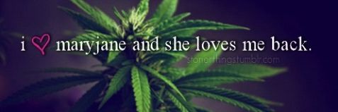 Ana17395599's profile banner image