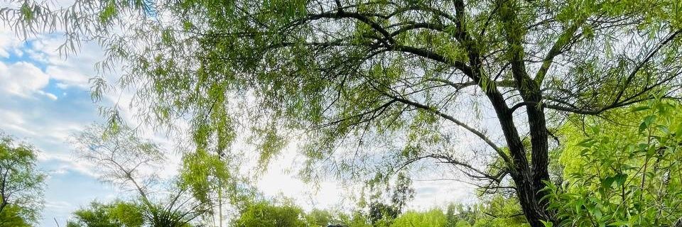 thousandOfMoles's profile banner image