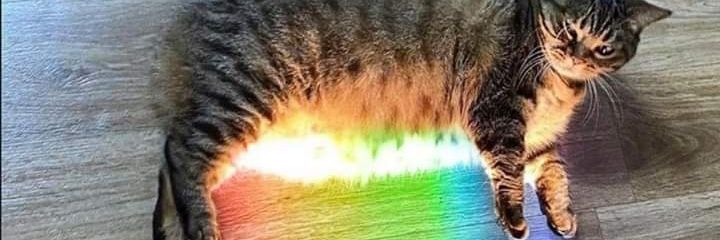 zhefryy's profile banner image