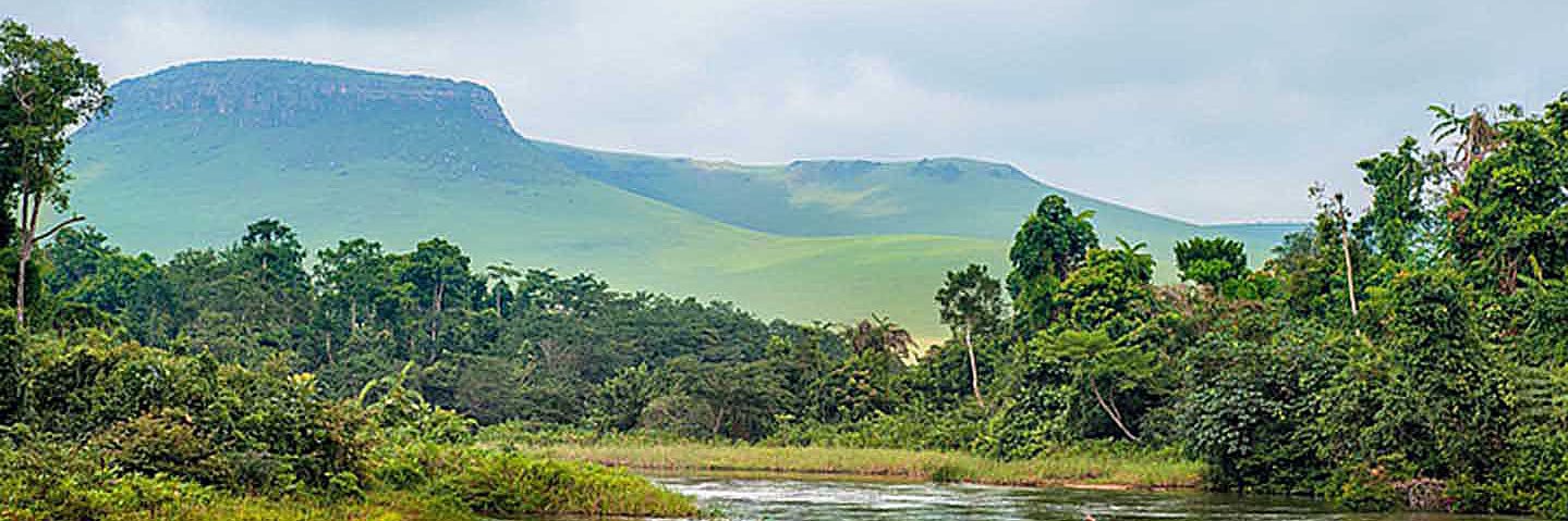 Les Congolais Debout banner
