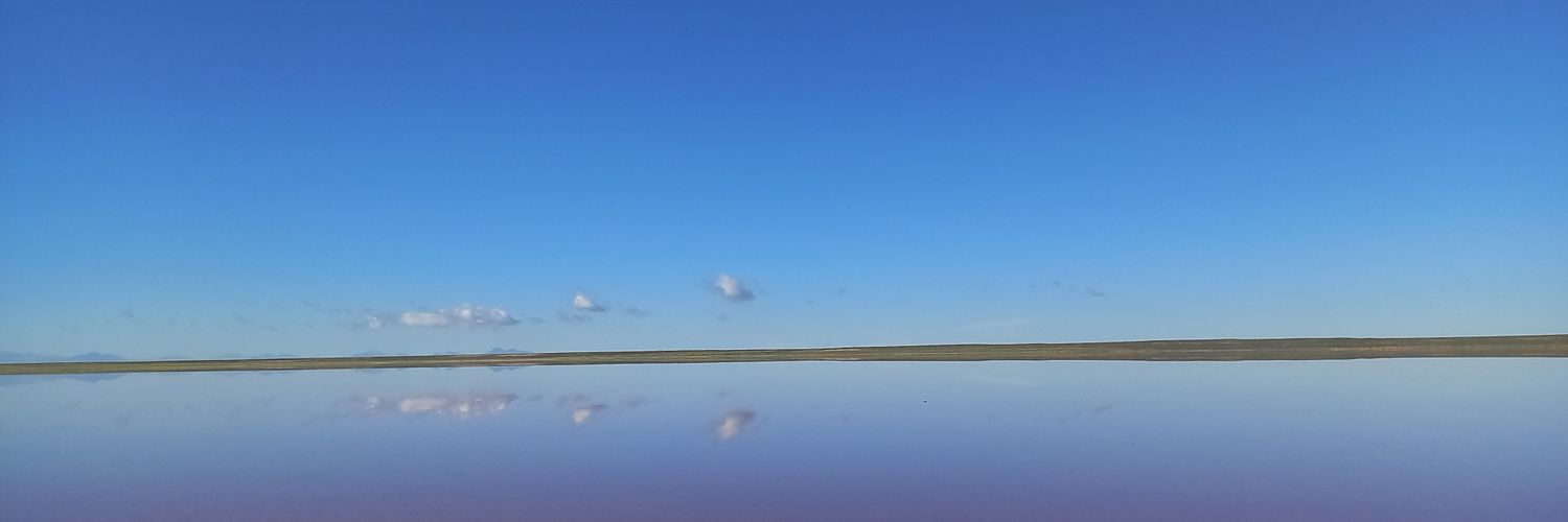 SilvinaMR's profile banner image