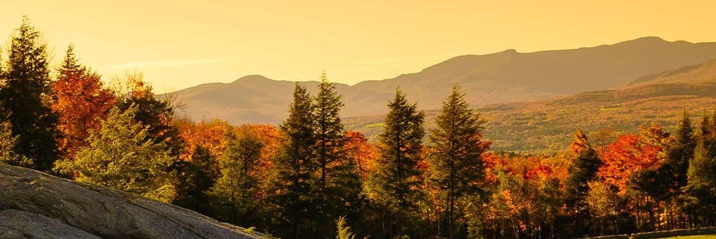 Pepih's profile banner image