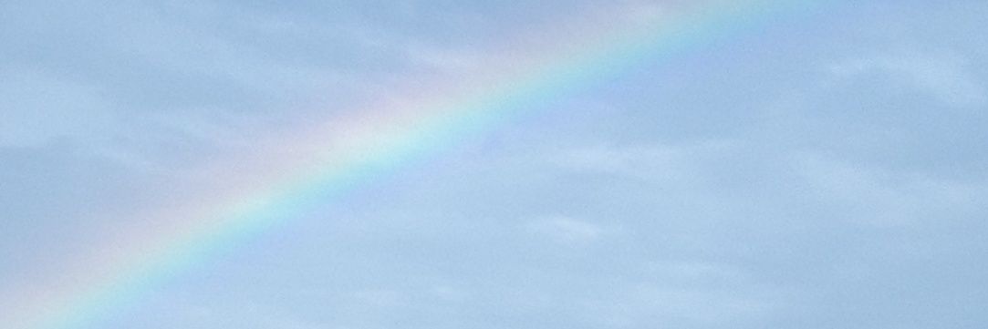 kokusanunagi's profile banner image