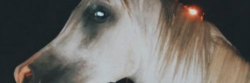 7moud_11's profile banner image