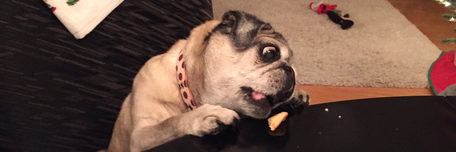 BeeBark's profile banner image