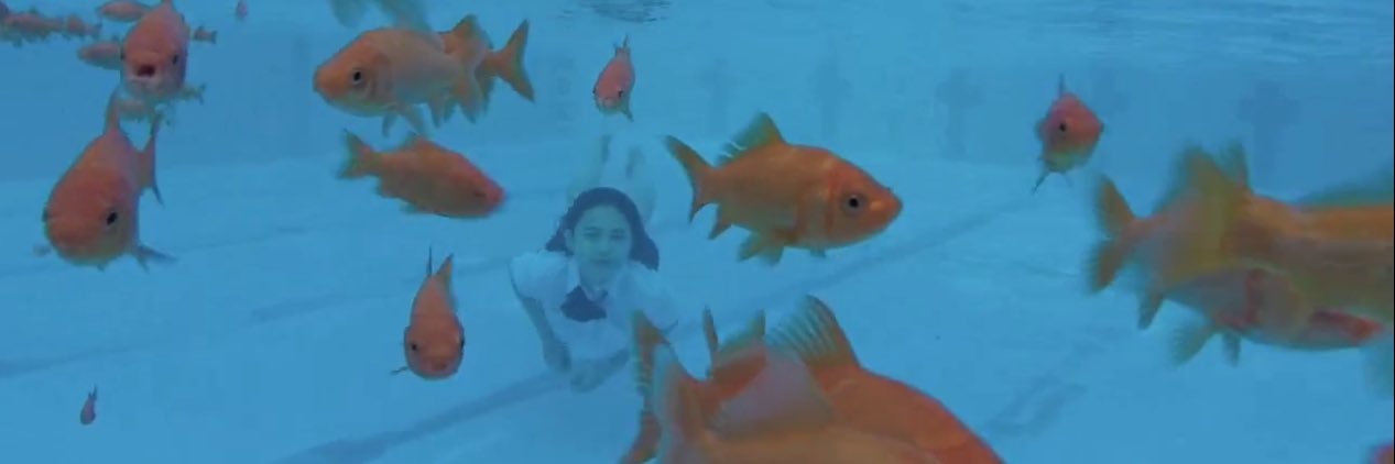 Connor รับแปล+ทำซับ ถ่ายภาพทั่วราชอาณาจักร banner