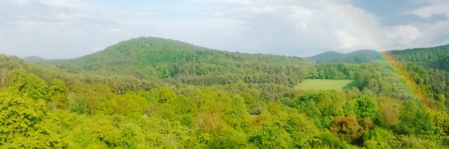 BiancaDecker's profile banner image