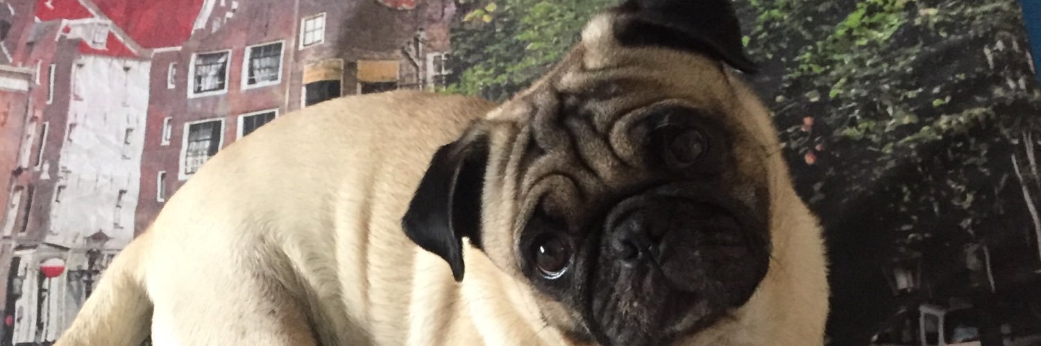 nelly_sandy2's profile banner image