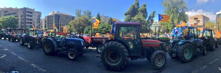 Miralles Sediciós banner