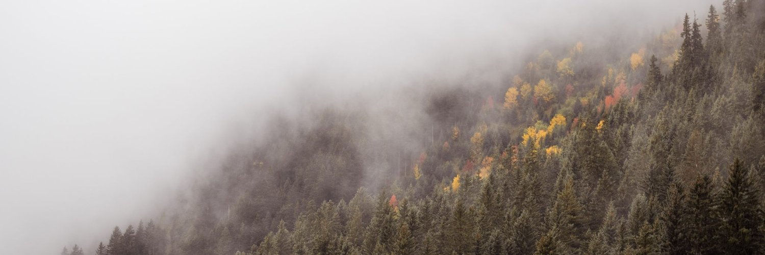 scottgerring's profile banner image
