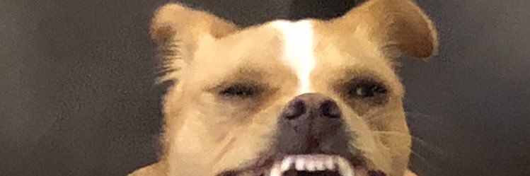 PeterRocket99's profile banner image