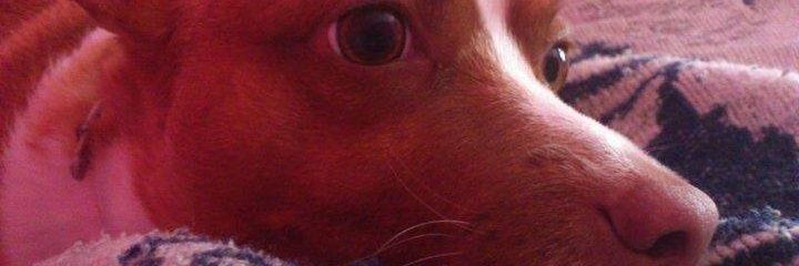 MonicaMM04's profile banner image