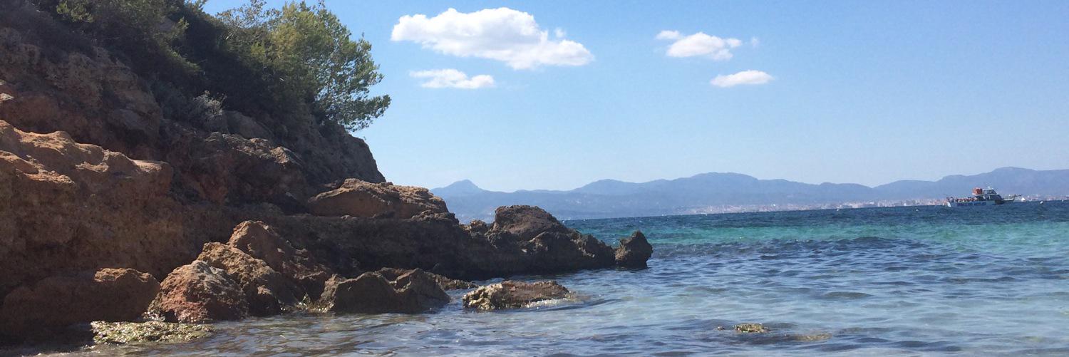 PedroHomar1's profile banner image