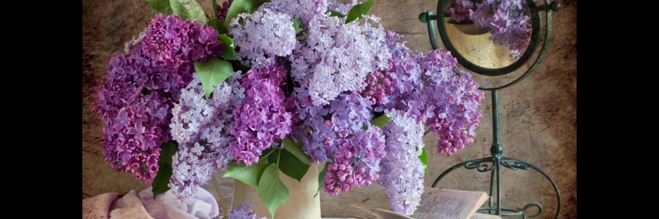 Barbara Sadowska banner