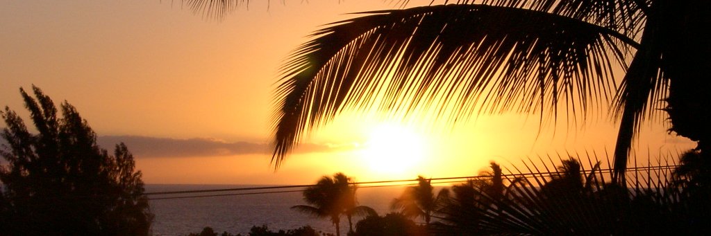 Dick Campbell banner