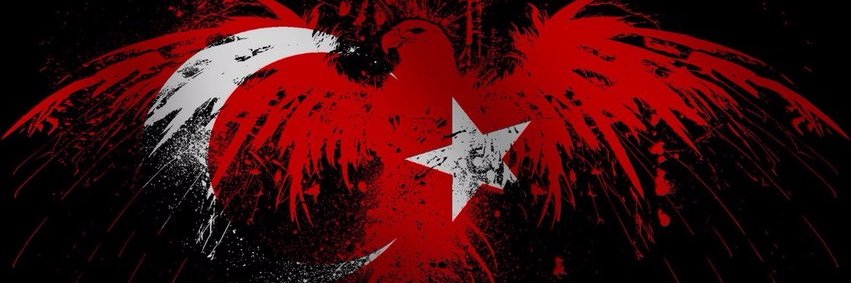 mami_reis's profile banner image