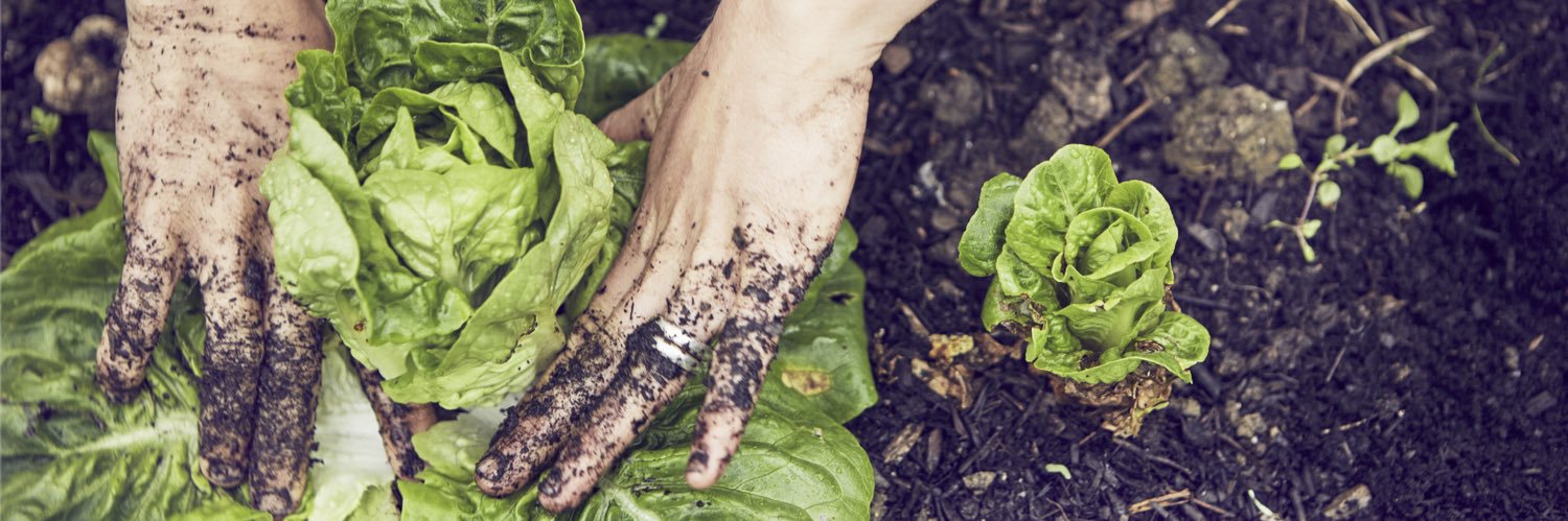 Eco-Chef Tom Hunt banner